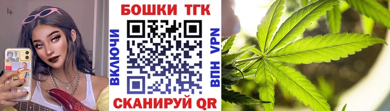  COCAIN Городище