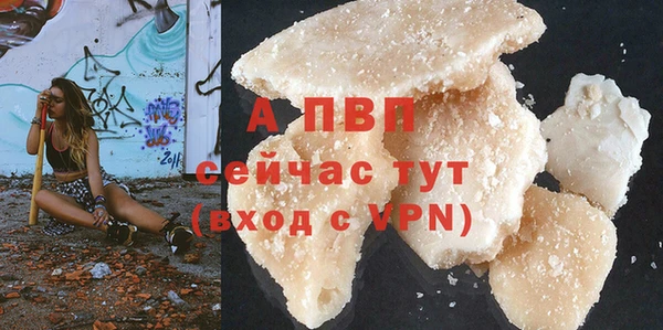 шишки Балабаново