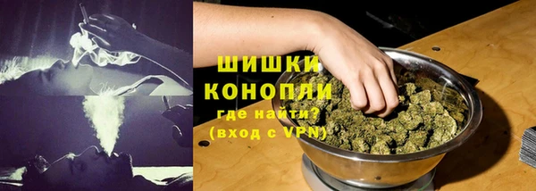 шишки Балабаново