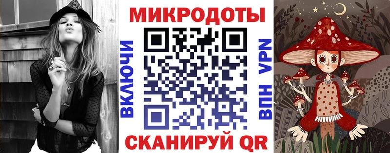 где найти наркотики  Городище  Галлюциногенные грибы Psilocybine cubensis 